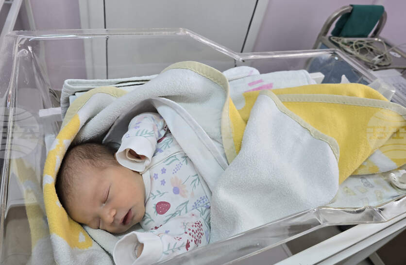 � ������ ������ ���� �������� 2025 ������ �� ������ 187 ������