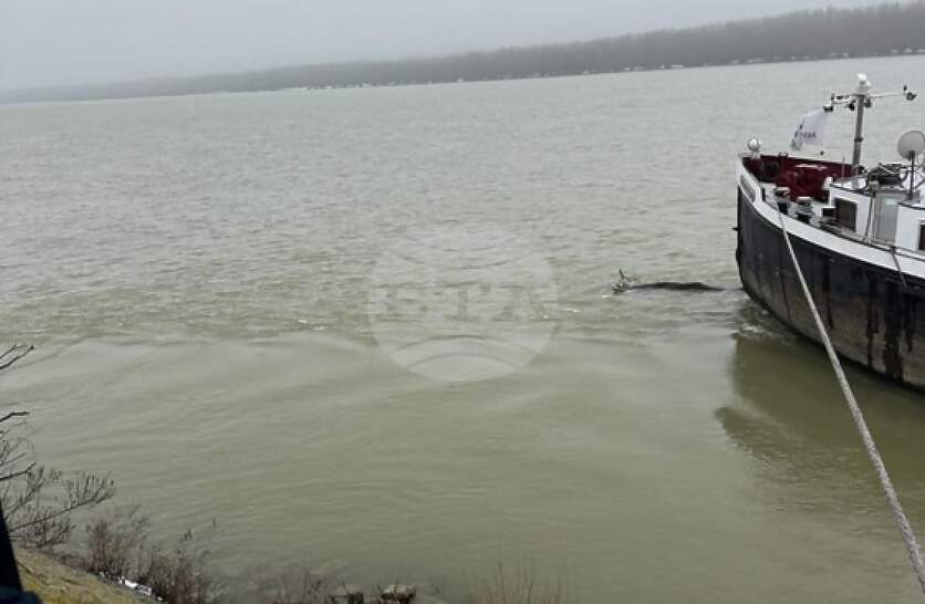 �������������� � ���� ������� ������� �� ����� ����� �� ���� ����� � ������ �������