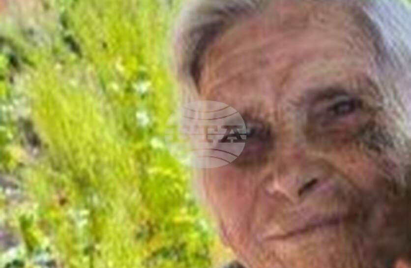 ��������� ������� ��������� 87-������� ���� �� ���� ��������, ������ ��������