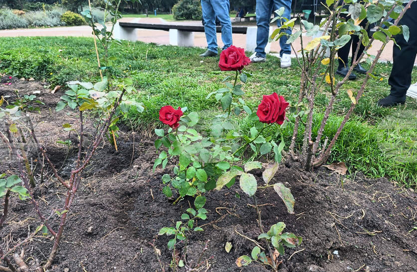 ��� 840 000 ����� � �������� ���������� ������ �� 2025 ������