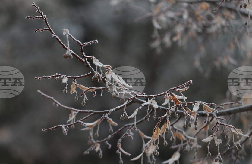 �������� �� ������� �� 6 ������ (�������) � ���������� ���