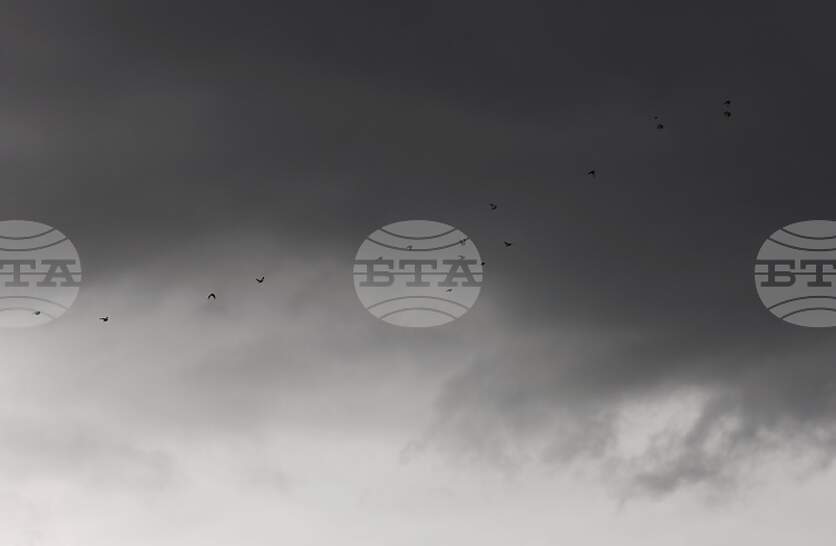 �������� �� ������� �� 30 ������ (�����) � ���������� ���