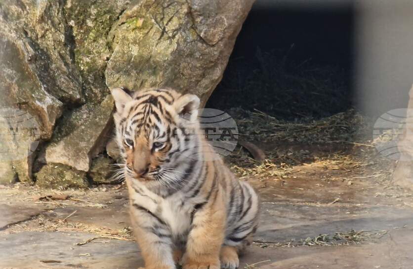 ������������ �� �������� � ����� ������ ������ �� ��������� ������ ���� �������, ������� ���������� ������ ��������� �����