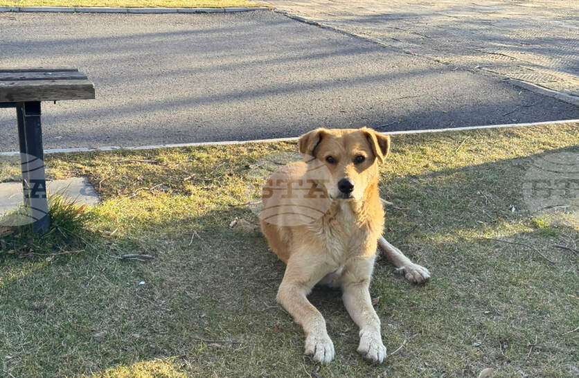 ��������� ������� � ������ ������������ ������� ������ � ������ ���� 2025 �. �������� �� ��������