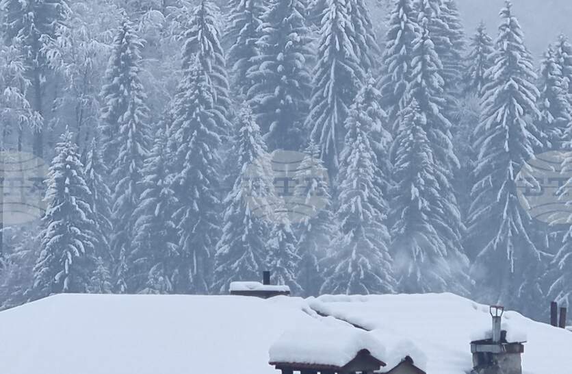 � ��������� � ��������, �� �������, ��������� ������ �� �� ����� ���������, �������� �� ����������� ���������� ������ �� ���