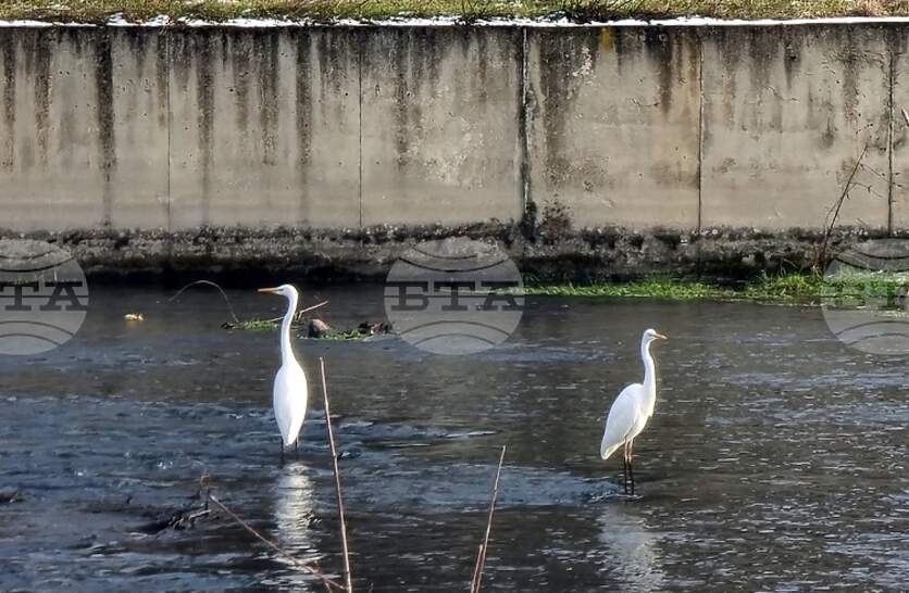 ����� �� ���������� ���������� ����� � ������� � ���� � ��������� � �������� � ��-�����