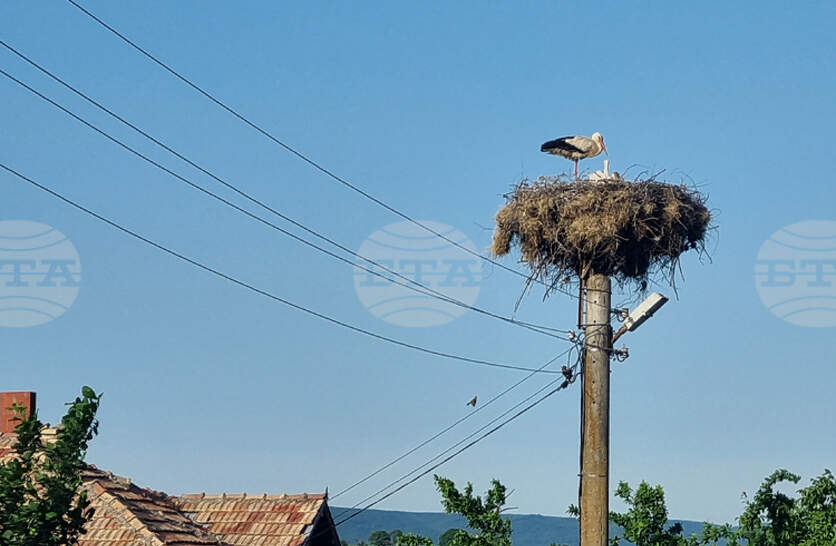 ��������������� �� ��������� ����� � �������� �� ���� ��������� �� ����������� �� ���������������� ����, ���� ����������� �����