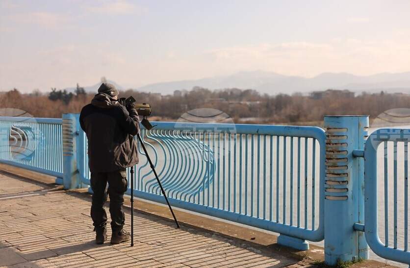 ��� 2500 �������� �� ���� 20 ���� ���������� ����� �� ��������� � ��������� ������ � ������� �� 50-�� ����������� ����������� � ��������