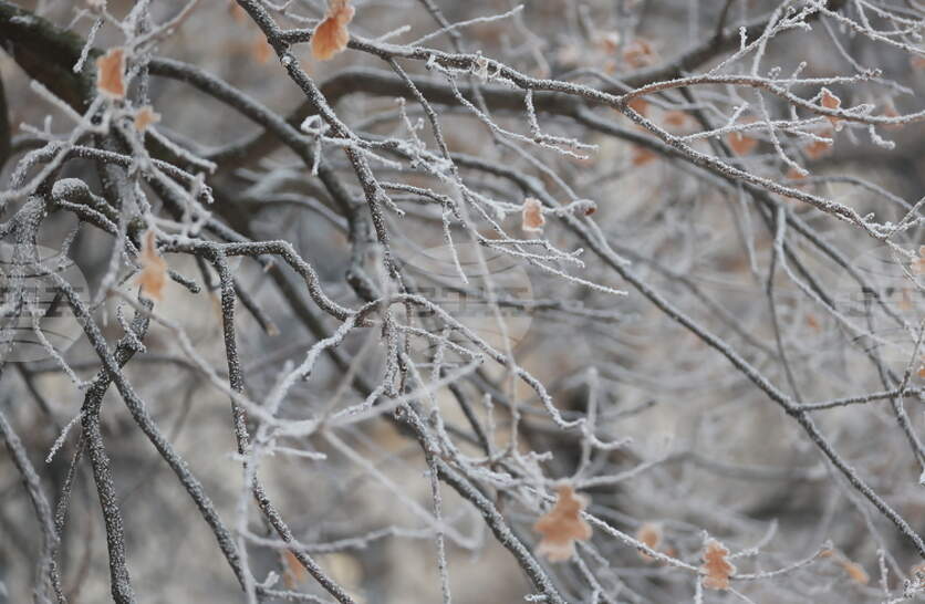 ���� ��� �� ����� ����������� � ������ �� ���� � 14 ������� � ��������