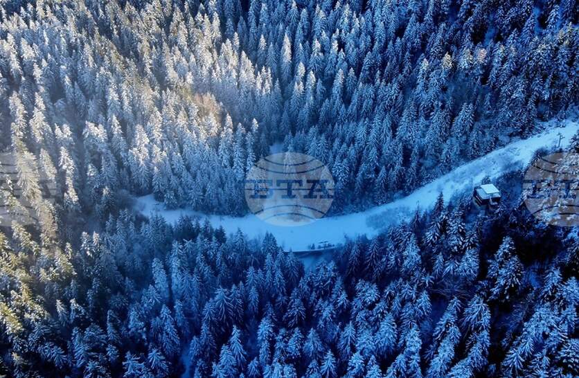 �������� �� ������� �� 4 ������ (������) � ���������� ���