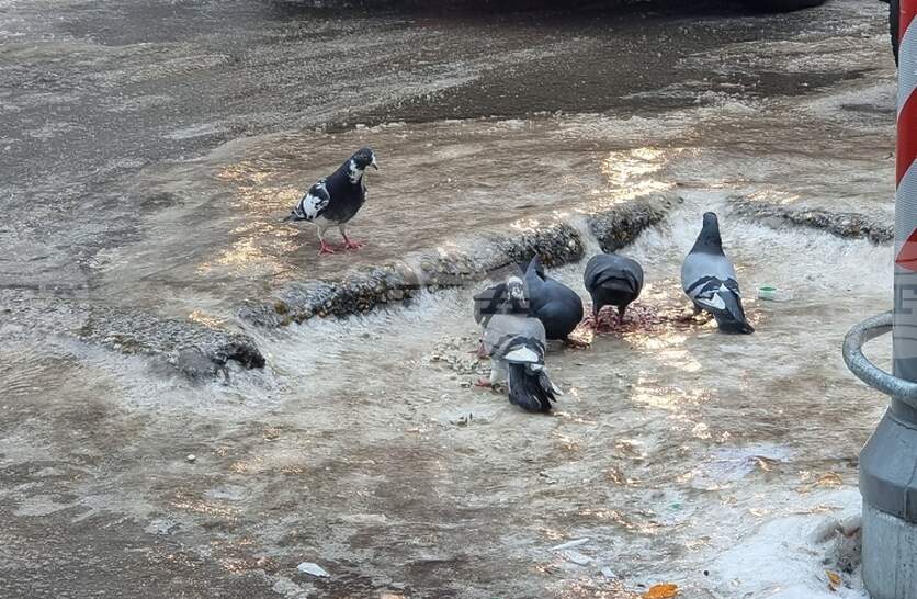 ������ ���������� � ���� ����� 80 ���� �� ��������� �� ���� ���� �������� ��������� �� ����� ������� � ������ � ���������