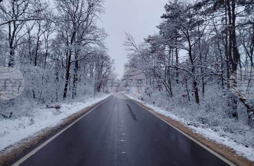 � ������ ������ 54 ������ ������� �� ��������������� �� ������� �����