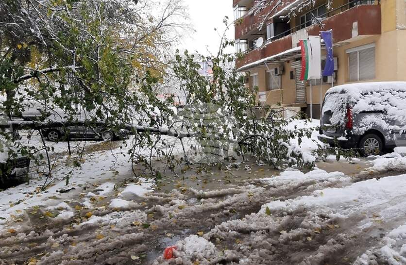 ���������� �� ���� 35 �������, ������� �� ������� ����� �� ������� � ���������� �� �����������, �������� �� �������� ������