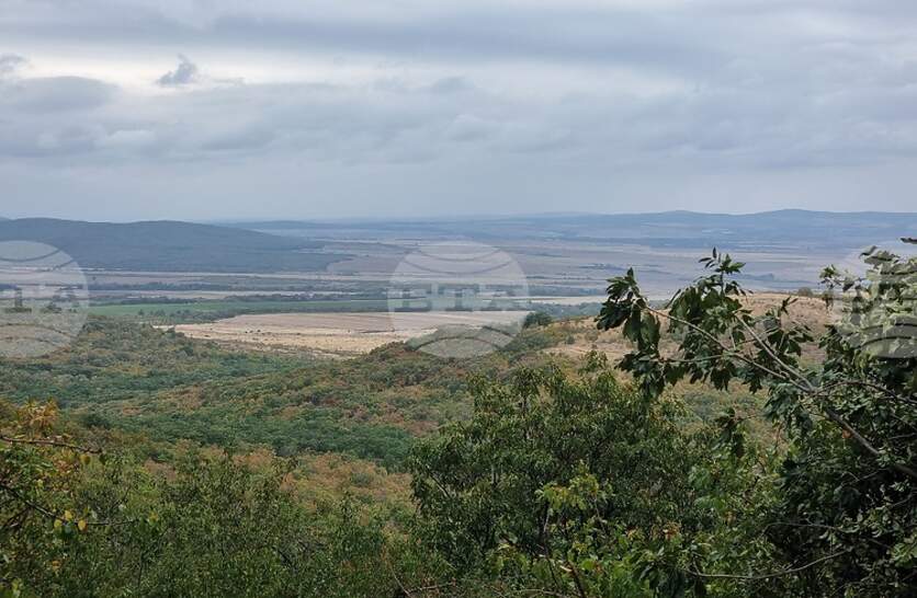 �������� ����������� �� ������������� ������ � �������� �������� � �������������� �� ������ ����� ����