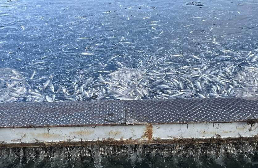 ������ �� ������� ���������� ������ ���� ���������� ���������� �� ������ �������� � ����������� ���� ���������