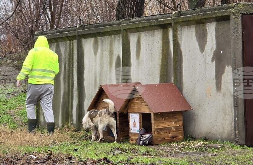 ���������� ����� � ����� ���� �������� �� ���������� ����������� �� ����������������� ������ �� ������� 2026�2030 ������