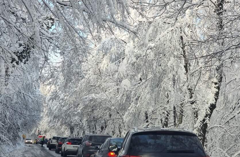 �������� ��� ������ �� ����� ��������� �� 10:00 �� 15:00 �. ���� ��������� ��� ������ ��������� ����������, �������� �� ���������� ������