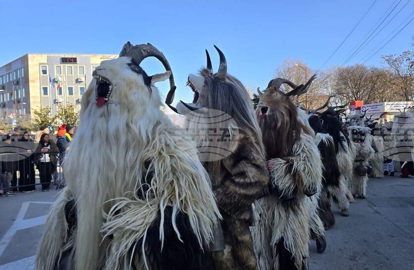 ������� �� ������� 