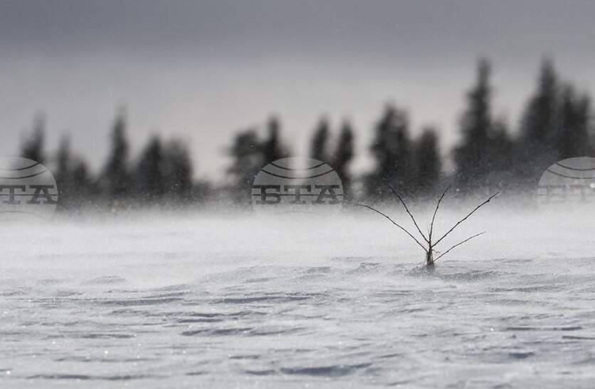 �������� �� ������� �� 1 �������� (������) � ���������� ���