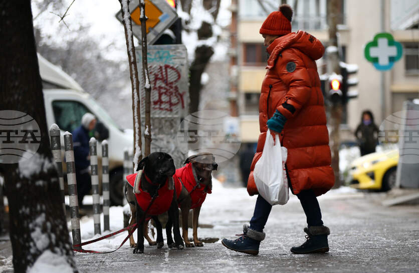 ���� ��� �� ������� ����� � ������ �� ���� � ������ ������