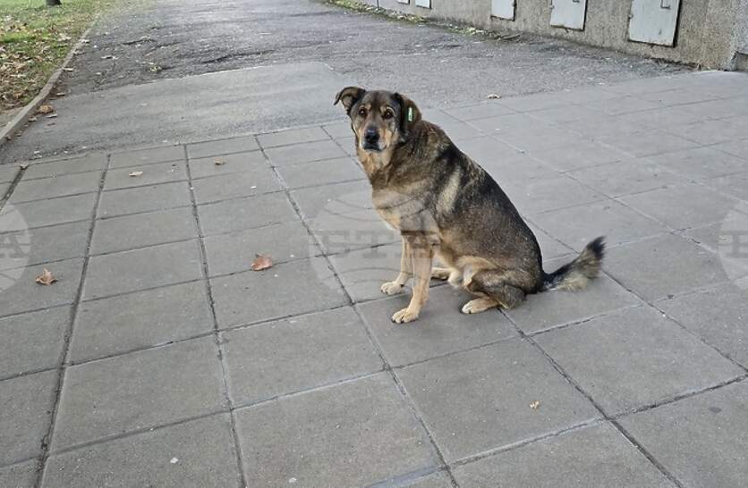 �������� �� ��������� ��������� �� ��������������� ������� ������� � ������ ���� ������