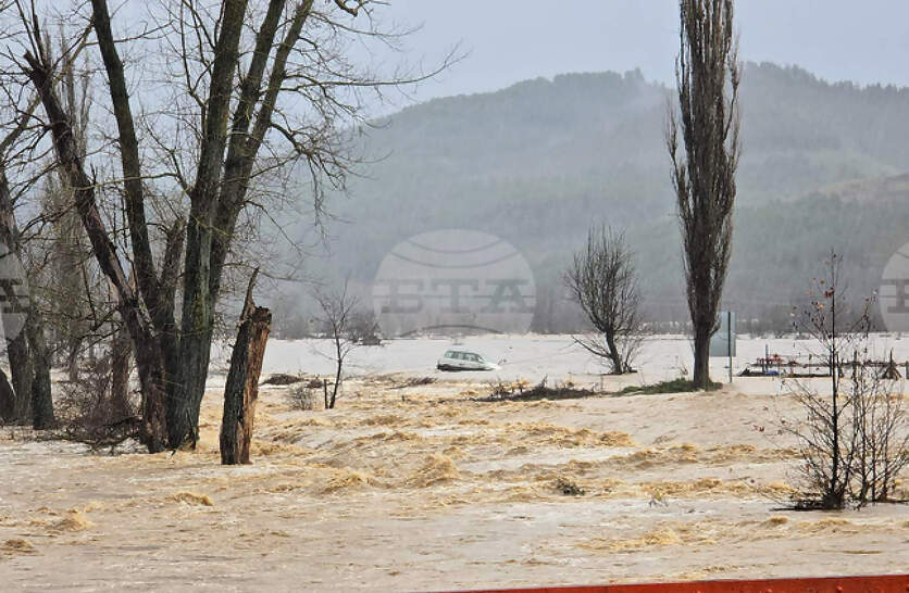 ��������� � ����������� �� ������ �� ����������� � ���������� � �������