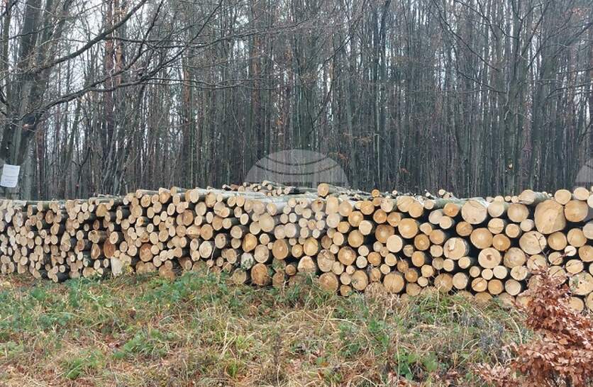 ��� 68 000 ���. ����� ����� �� ����� �� ������������ �� ����������� � ������� �� ������������������ �������� ����������� ���� 2025 �.