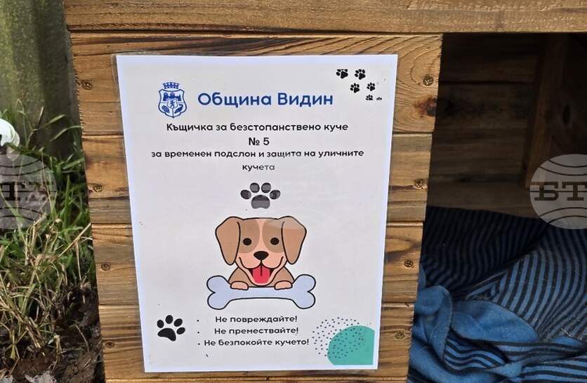 ������ ����� ������� 12 ������� �� �������� ������ � �������� �������� �� �����