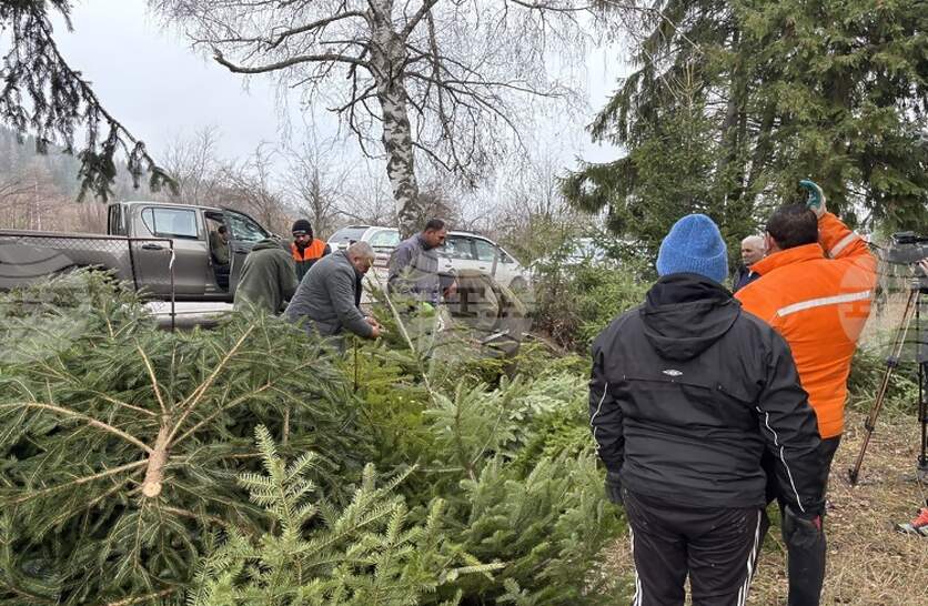 ������ ������� ���������� �������� �� �������� �������� �� ���������� ����