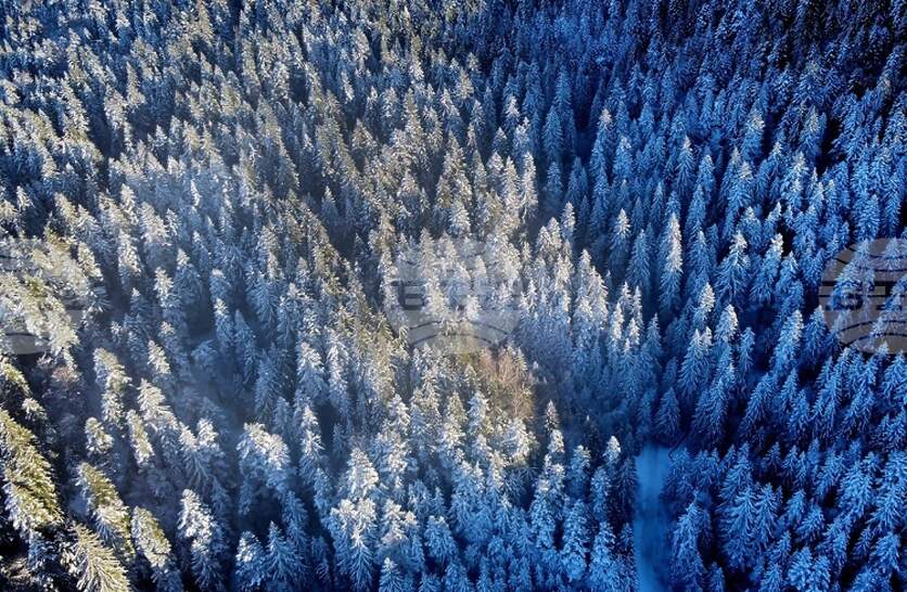 ���� �� ��������� �� ������� � ���������, �������� �� ����������� ���������� ������