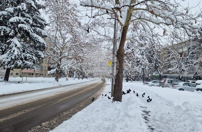 ������������ � ���������� ������ ��������� ������ ���������� � ����� �����, �������� �� ���������� �������������