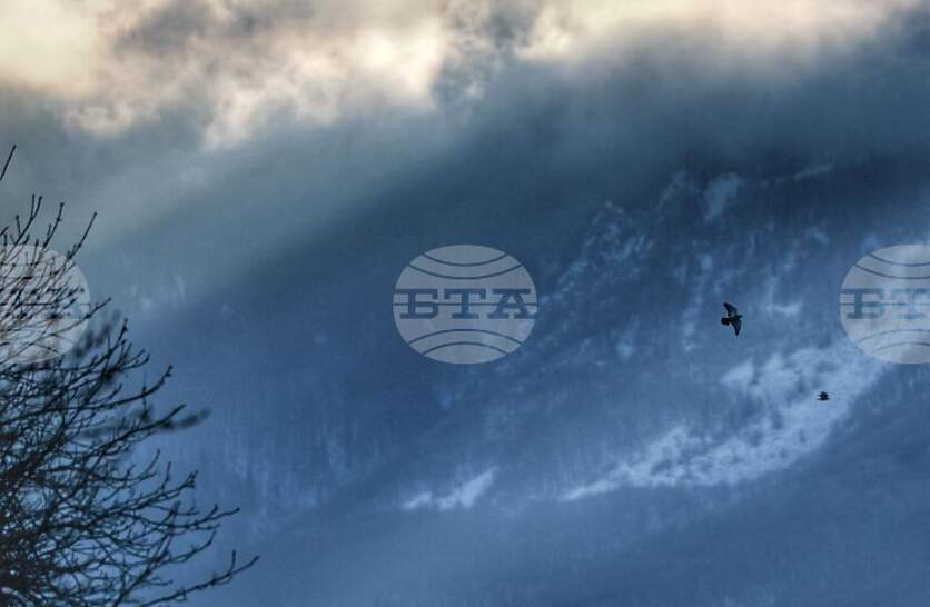 ���� �� ��������� �� ������� � ���������, �������� �� ����������� ���������� ������ �� ���