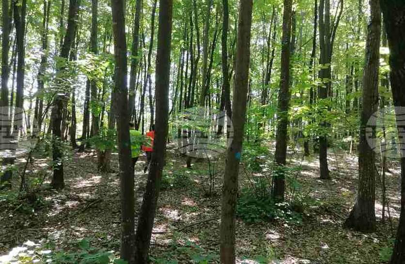 ������ �� 28 500 �������� �� ��������� � �������� ��������� �� ���� ���� 2025 ������, ��������� �� ����������, ������ � 120 ������ ����� �� �����