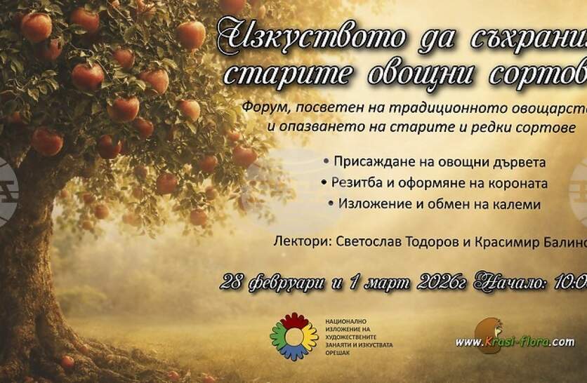 ������������ �� ���������� �� ��������� �� ������� ������ ������� ����������� � ������������ ��������� �� ��������� � ���������� �. ������