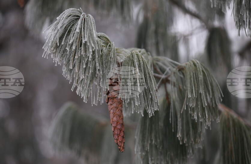 ���� ��� �� ����� ����������� � ������ �� ���� � 14 ������� � ��������