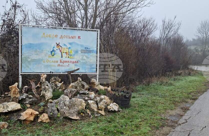 ���������� ������� ������� ���� ������������ ���� ����� �������� ���� �� �����