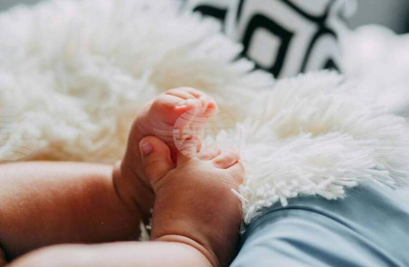 ��� �������� �� ������� �� 2026 �. ������ � ���������� �������-������������� ������� � �����