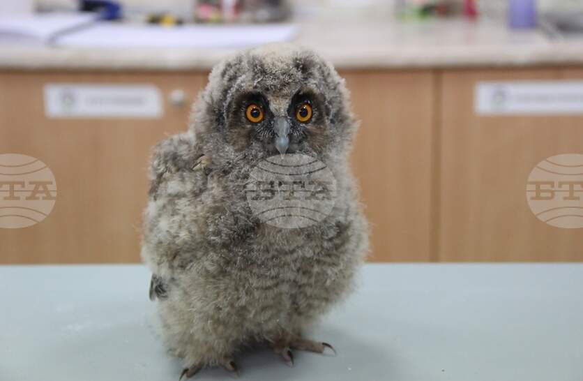 ������� �� �������� ���� ���������, �� ����������� ������ �� ���� ������� ���������� �� ���������� �������� ��� ����� � ����� �����