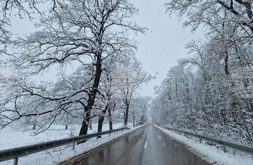 ������ ������������� ������ � �������� �� ��������� ��� ����� �������, ���� ��� ���� � ����������� ����� �� ��������