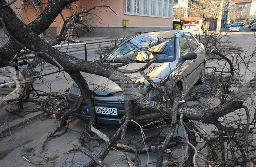 ����� ��� ������� �� 70 ��������� � ��� � ����� � ���������, ����� � ������� ����� ����