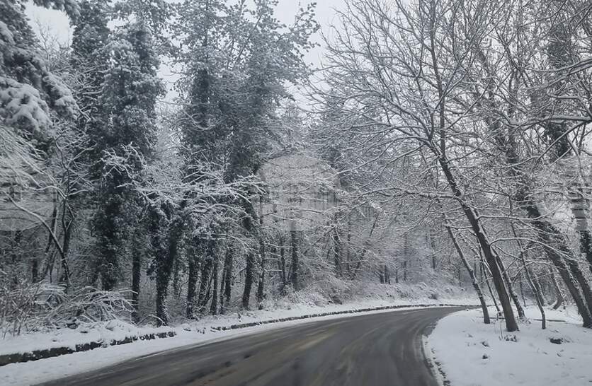 � ������ ������ 139 ������ �� ����������� � ���� ������ �� ���������� �� ��������������� ������ ��� ����������