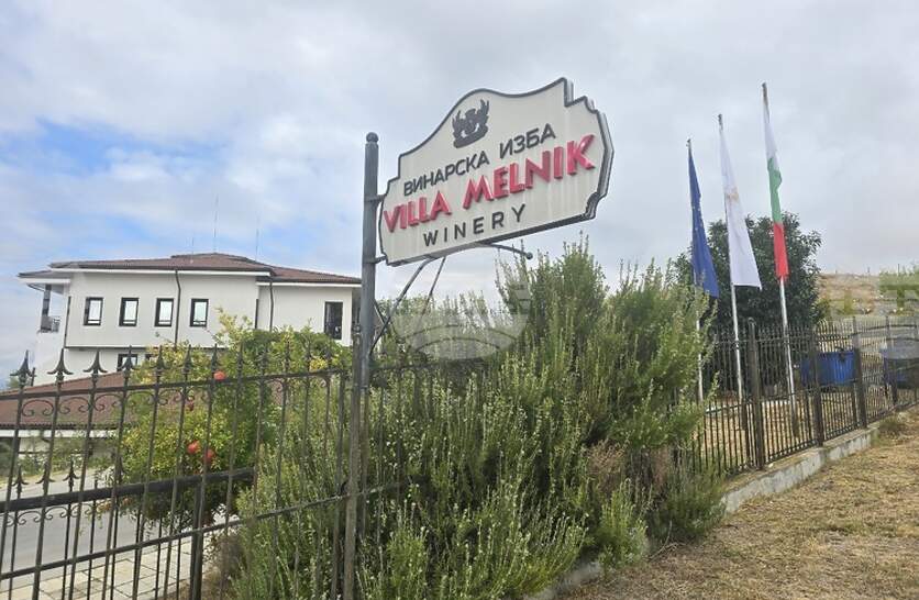 �������� ���� 