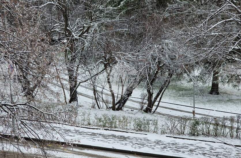 ���� ���� � ������ ��������������� ������, �� ��� ������� ���� ��������� ����� �������� � �������� �����������