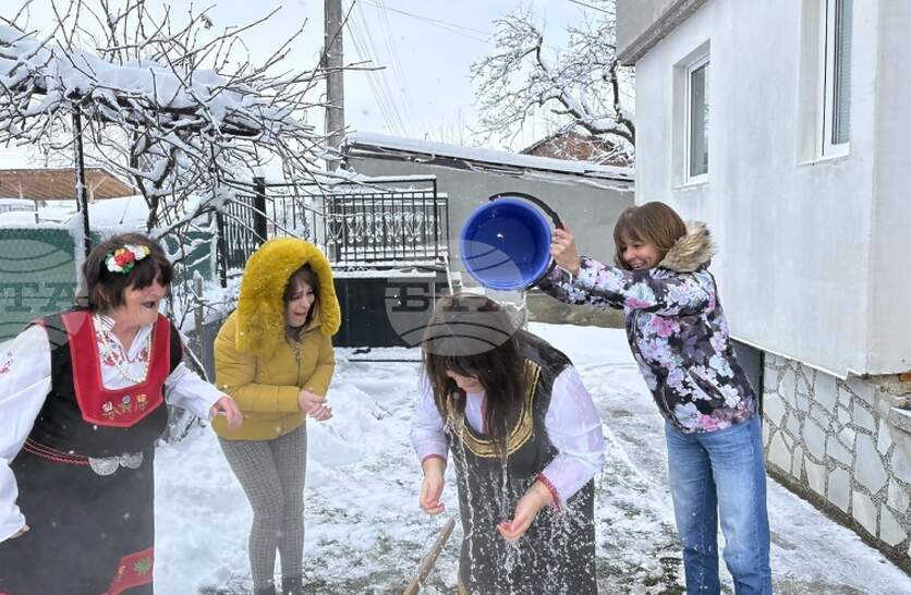 � ������������ ���� ������ ������������ ������� �������� �� ��������