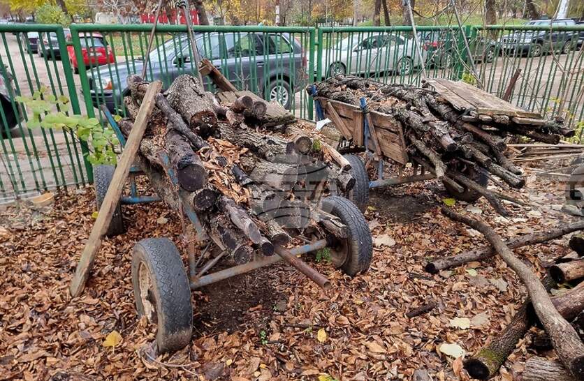 ��� ������ �� ��������� ������ ����� �� �������� � ���������, � �������� �� ������������� �� ����������