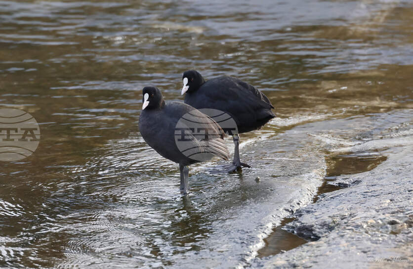 �� ��������� ��� �� ��� ����������� �� ���������� ���������� ����� � ��������