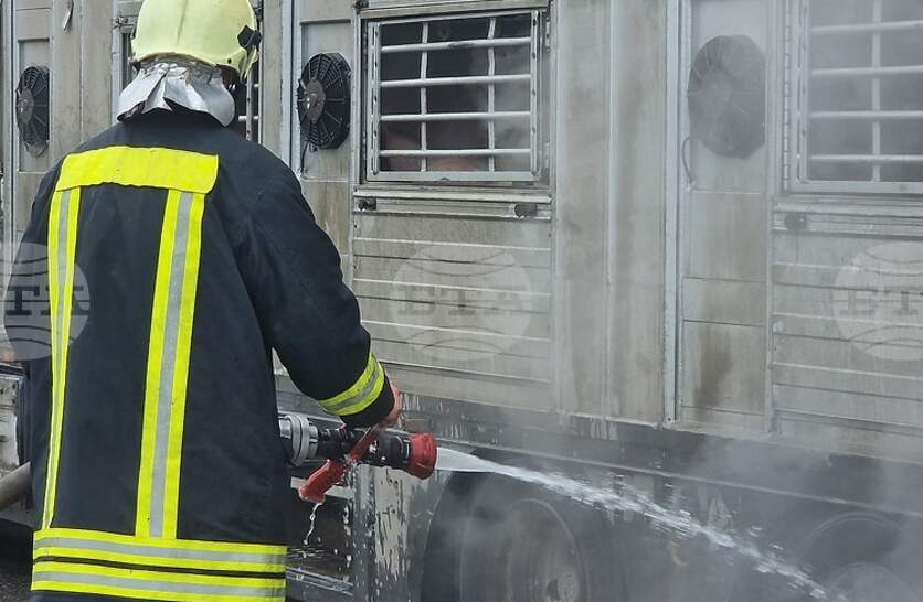 ��� ������ � �������� ���� ���������� ��������� �� ���������� ����� ����