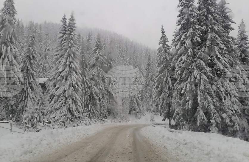 �������� �� ���������� ������������� �� �������� �� ������������ ���������� ���� ������� �������