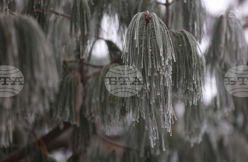 �������� �� ������� �� 18 ������ (������) � ���������� ���