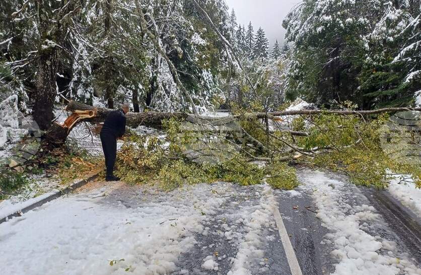 ������� ������� ����������� ���������� �� ���� �� ������ ��� ���������� �����������